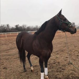 Meet your Posher, Eloina